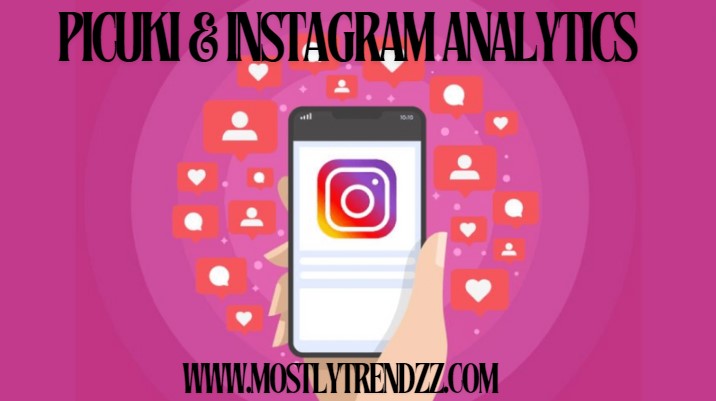 Picuki & Instagram Analytics