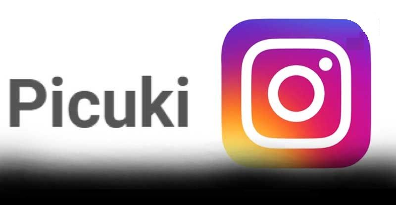 Picuki & Instagram Analytics